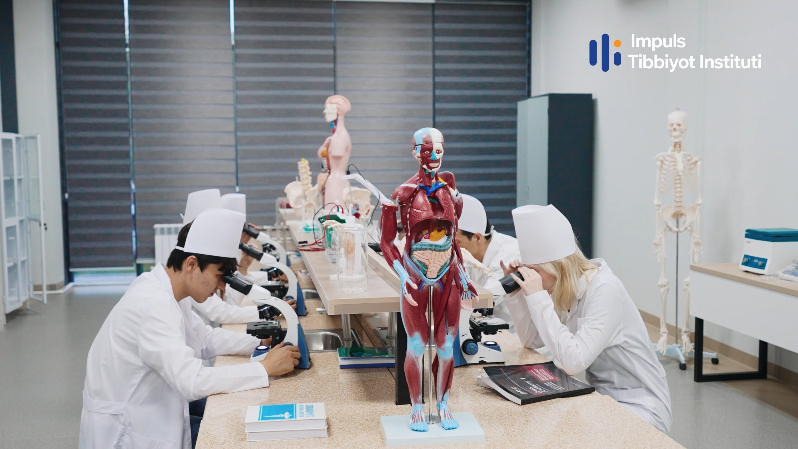 Лечебная работа